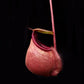 Nepenthes orbiculata pitcher plant carnivorous plants sale Singapore side view